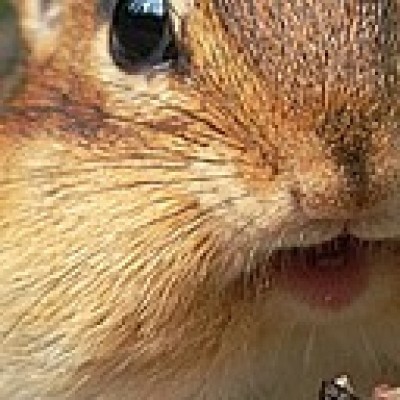 Find Arthur Larry Smith Phone Number, Location, Email, and more on Intelius