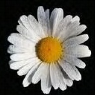 Find Ashley L Simons Phone Number, Location, Email, and more on Intelius
