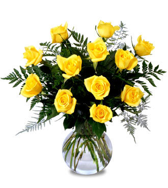 Find Audrey C Borytsky Phone Number, Location, Email, and more on Intelius