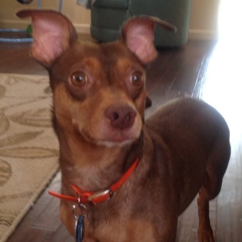 Find Audrey Smith Phone Number, Location, Email, and more on Intelius
