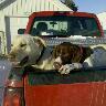 Find Bailey E Claussen Phone Number, Location, Email, and more on Intelius