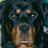 Find Bambi F Davis Phone Number, Location, Email, and more on Intelius