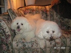 Find Barbara Jean Larsh Phone Number, Location, Email, and more on Intelius