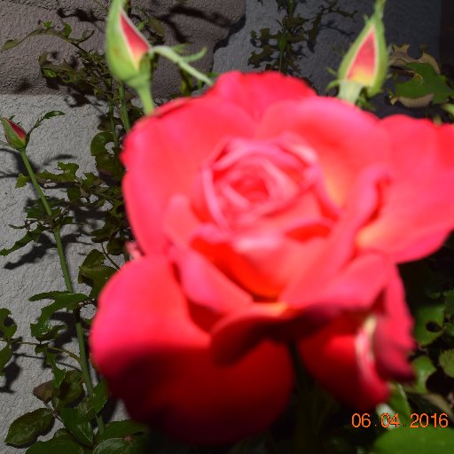 Find Barbara E Pohn Phone Number, Location, Email, and more on Intelius