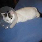 Find Barbara Lynn Witte Phone Number, Location, Email, and more on Intelius