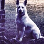 Find Bard Chance Powell Phone Number, Location, Email, and more on Intelius