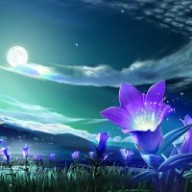 Find Beckey Anne Evans Phone Number, Location, Email, and more on Intelius