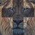 Find Benedict J Delbrocco Phone Number, Location, Email, and more on Intelius