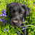 Find Benjamin Wayne Bryant Phone Number, Location, Email, and more on Intelius