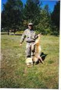 Find Bertel D Bailey Phone Number, Location, Email, and more on Intelius