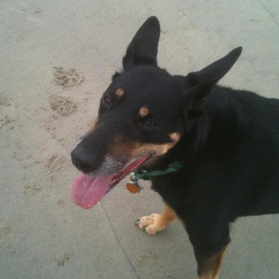 Find Beth W Falk Phone Number, Location, Email, and more on Intelius