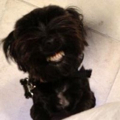 Find Beth Marie Levy Phone Number, Location, Email, and more on Intelius