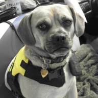 Find Beth A Meade Phone Number, Location, Email, and more on Intelius