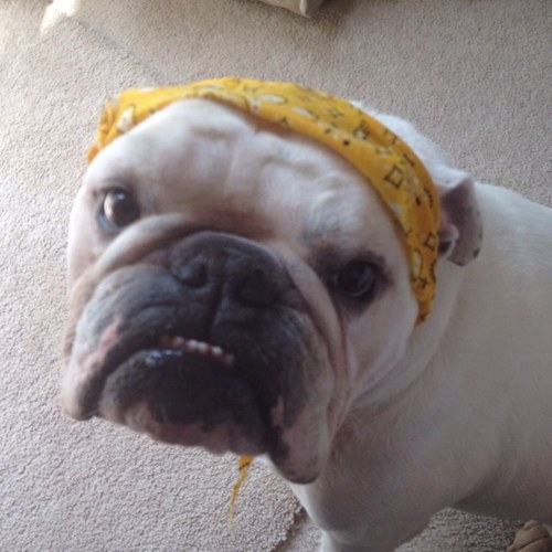 Find Beverly Jane Barron Phone Number, Location, Email, and more on Intelius