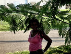 Find Beverly L Tate Phone Number, Location, Email, and more on Intelius