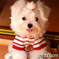 Find BO O Yang Phone Number, Location, Email, and more on Intelius