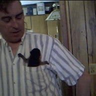 Find Bob A Bailey Phone Number, Location, Email, and more on Intelius