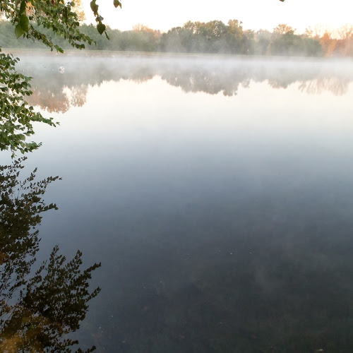 Find Bonnie Sue Dunwoody Phone Number, Location, Email, and more on Intelius