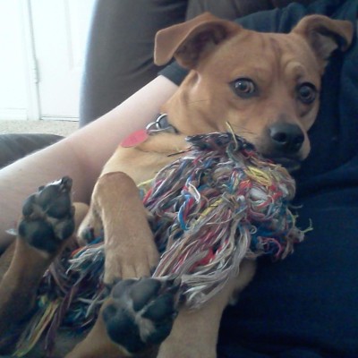 Find Bonnie Lee Nelson Phone Number, Location, Email, and more on Intelius