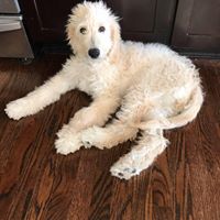 Find Bradley D Roberts Phone Number, Location, Email, and more on Intelius