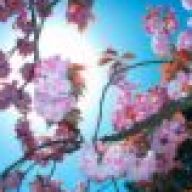 Find Brandy M Powers Phone Number, Location, Email, and more on Intelius