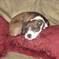 Find Brenda Lee Smith Phone Number, Location, Email, and more on Intelius