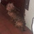 Find Brian William Barnes Phone Number, Location, Email, and more on Intelius