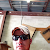 Find Brian Barron Phone Number, Location, Email, and more on Intelius