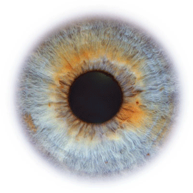 Find Brian E Burlingame Phone Number, Location, Email, and more on Intelius
