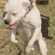 Find Brian James Delano Phone Number, Location, Email, and more on Intelius