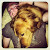 Find Brian C Johnston Phone Number, Location, Email, and more on Intelius