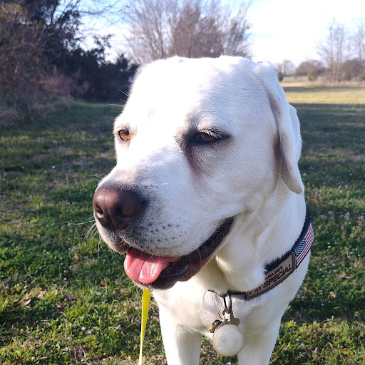 Find Brian Joshua may Phone Number, Location, Email, and more on Intelius