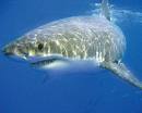 Find Brian W Meek Phone Number, Location, Email, and more on Intelius