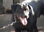 Find Brian Ashly Parker Phone Number, Location, Email, and more on Intelius