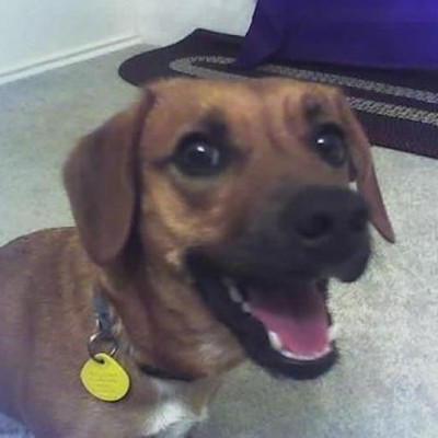 Find Brian Laurence Watts Phone Number, Location, Email, and more on Intelius