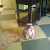 Find Brian Arthur Weber Phone Number, Location, Email, and more on Intelius
