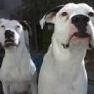 Find Bryan E Damon Phone Number, Location, Email, and more on Intelius