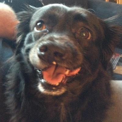 Find Bryan S Downs Phone Number, Location, Email, and more on Intelius