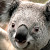Find Bryant Tyrell Patrick Phone Number, Location, Email, and more on Intelius