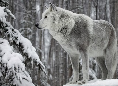 Find Bryce M Wilson Phone Number, Location, Email, and more on Intelius