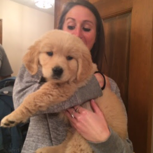 Find Caitlin Lizabeth Meyer Phone Number, Location, Email, and more on Intelius