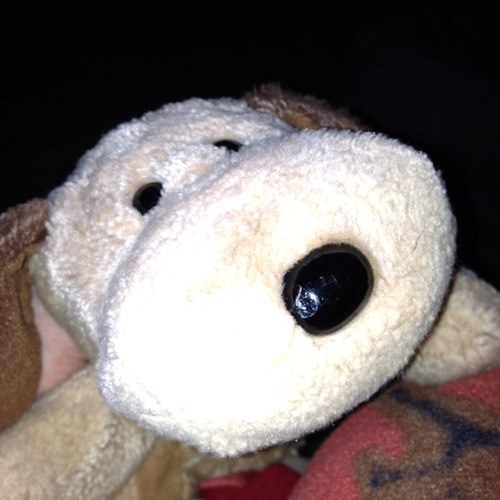 Find Cameron David Bennett Phone Number, Location, Email, and more on Intelius