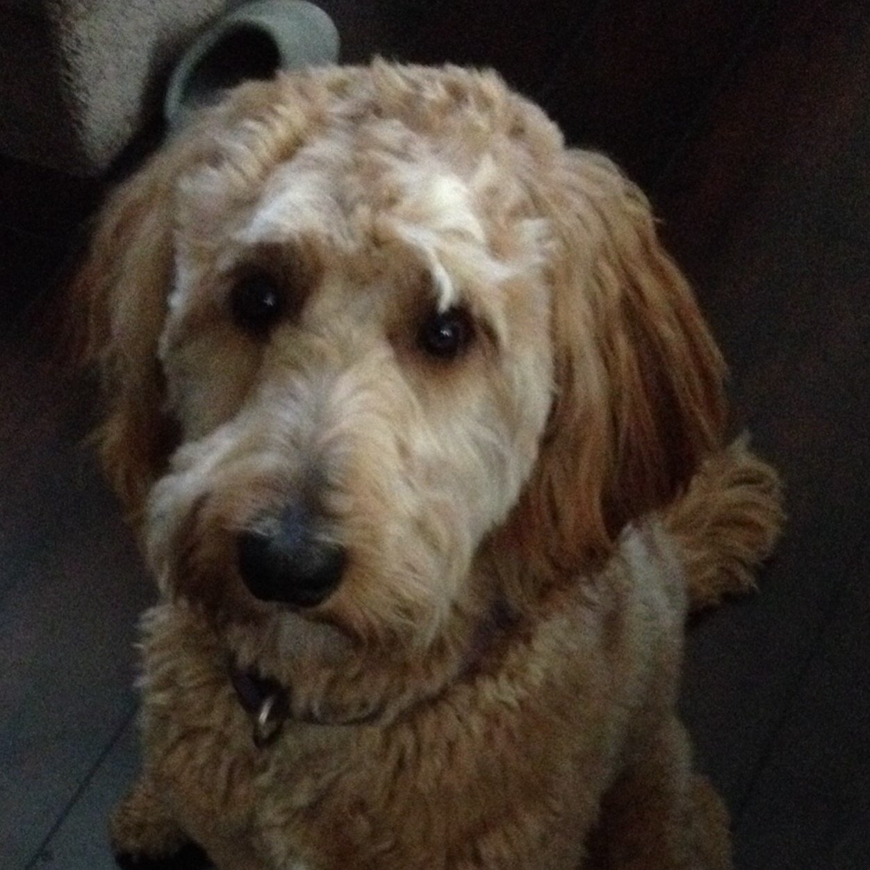 Find Cameron Joseph Oliver Phone Number, Location, Email, and more on Intelius