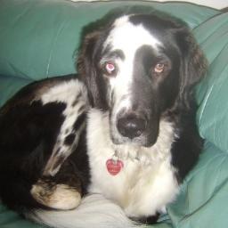 Find Candace Marie Spice Phone Number, Location, Email, and more on Intelius