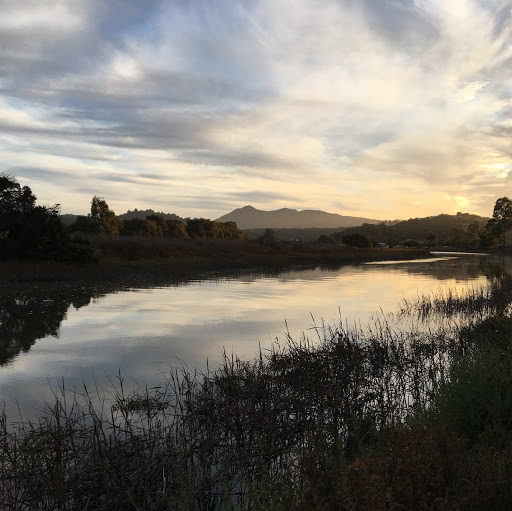 Find Carline S Ryan Phone Number, Location, Email, and more on Intelius