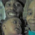 Find Carlton Brown Phone Number, Location, Email, and more on Intelius