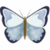 Find Carol Lynn Ensley Phone Number, Location, Email, and more on Intelius