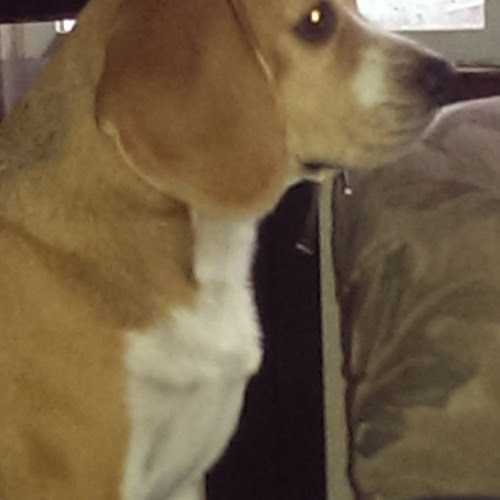 Find Carol Lynn Wimmer Phone Number, Location, Email, and more on Intelius