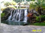 Find Carole Carter Martin Phone Number, Location, Email, and more on Intelius