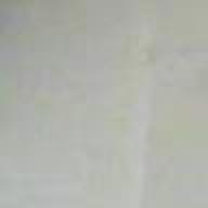 Find Carrie Beth Holcomb Phone Number, Location, Email, and more on Intelius